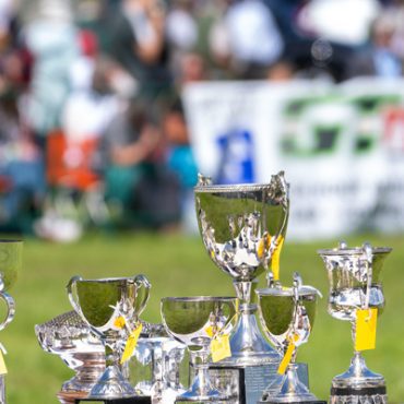 Skelton Show trophies.